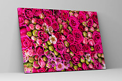 Obraz Bed of roses 1587